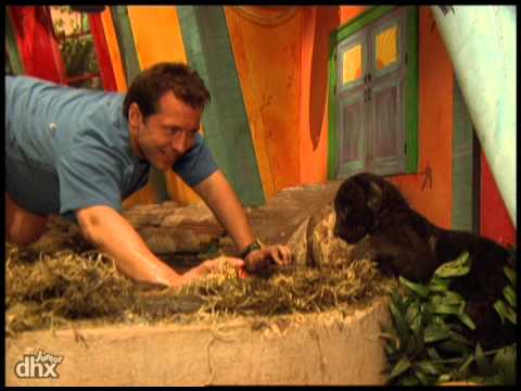 Zoboomafoo 102 - Télé-binocles