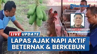 Lapas Ngawi Ajak Napi Aktif Beternak dan Tanam Buah, Tanam Pisang hingga Alpukat Lalu Dijual