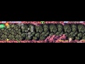 Arcade Longplay 214 Darius II