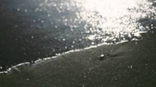 MARK TEMPLETON  - LISBON