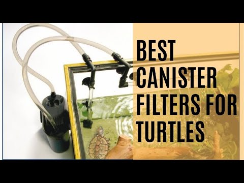 6 Best Filters For Turtle Tanks (2024 Update)