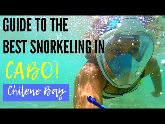 Chileno Bay Snorkeling With Full Face Snorkel Mask - Do This If Traveling To Cabo San Lucas!