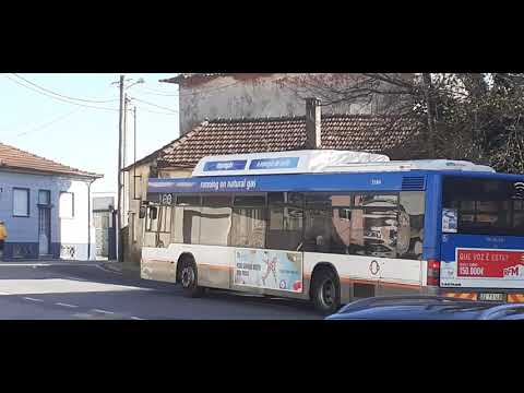 STCP NO LINHA 805 Veículos 3184 e 3185