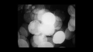 Night Drive Music Video