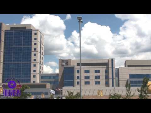 Welcome to Murray Utah - Murray Area Chamber Of Commerce