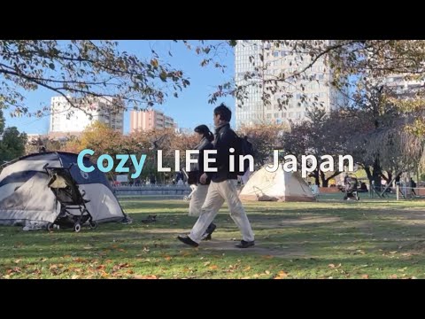Cozy LIFE in Japan 🇯🇵: Enjoying Autumn, Making Okonomiyaki, Walk around a shrine!