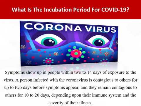 Daniel Mark Wilkerson video.