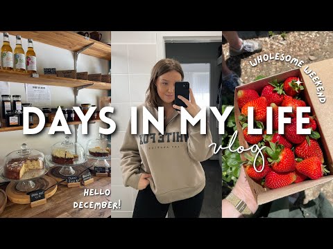 VLOG | first week of december, cooking, ikea trip + wholesome weekend 🥰