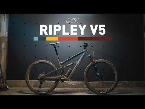 Ibis Ripley V5 Review: Is it overbuilt?