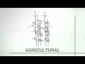 IH2 Technology Agricultural Feedstock CRI Catalyst