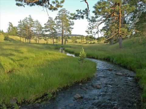 Ацо Марковић - Поточанка