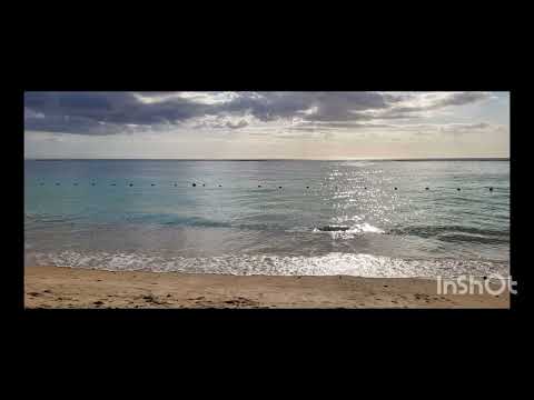 Linzy Bacbotte - Drame Enkor