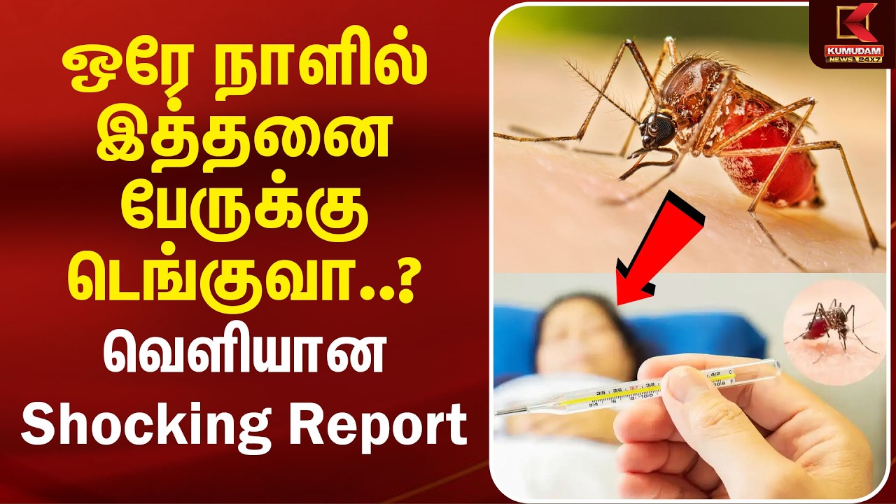 ஒரே நாளில் இத்தனை பேருக்கு Dengue-ஆ..? வெளியான Shocking Report | TN Dengue Affected People | Kumudam