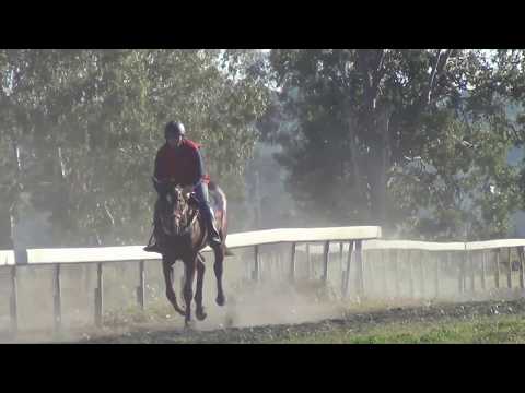 Casino Prince Barrier Practice