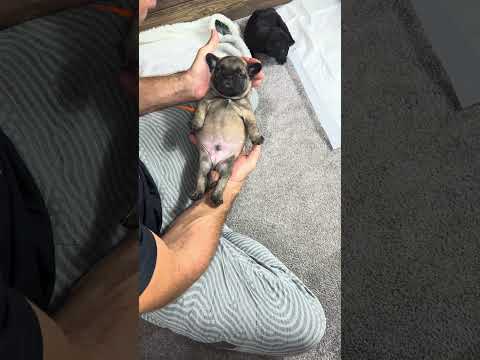 Video 1