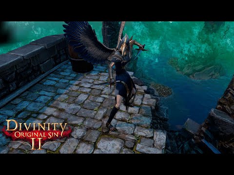 BEI DUNA, DIESE RÜSTUNG! 🌀 Divinity Original Sin 2 #83