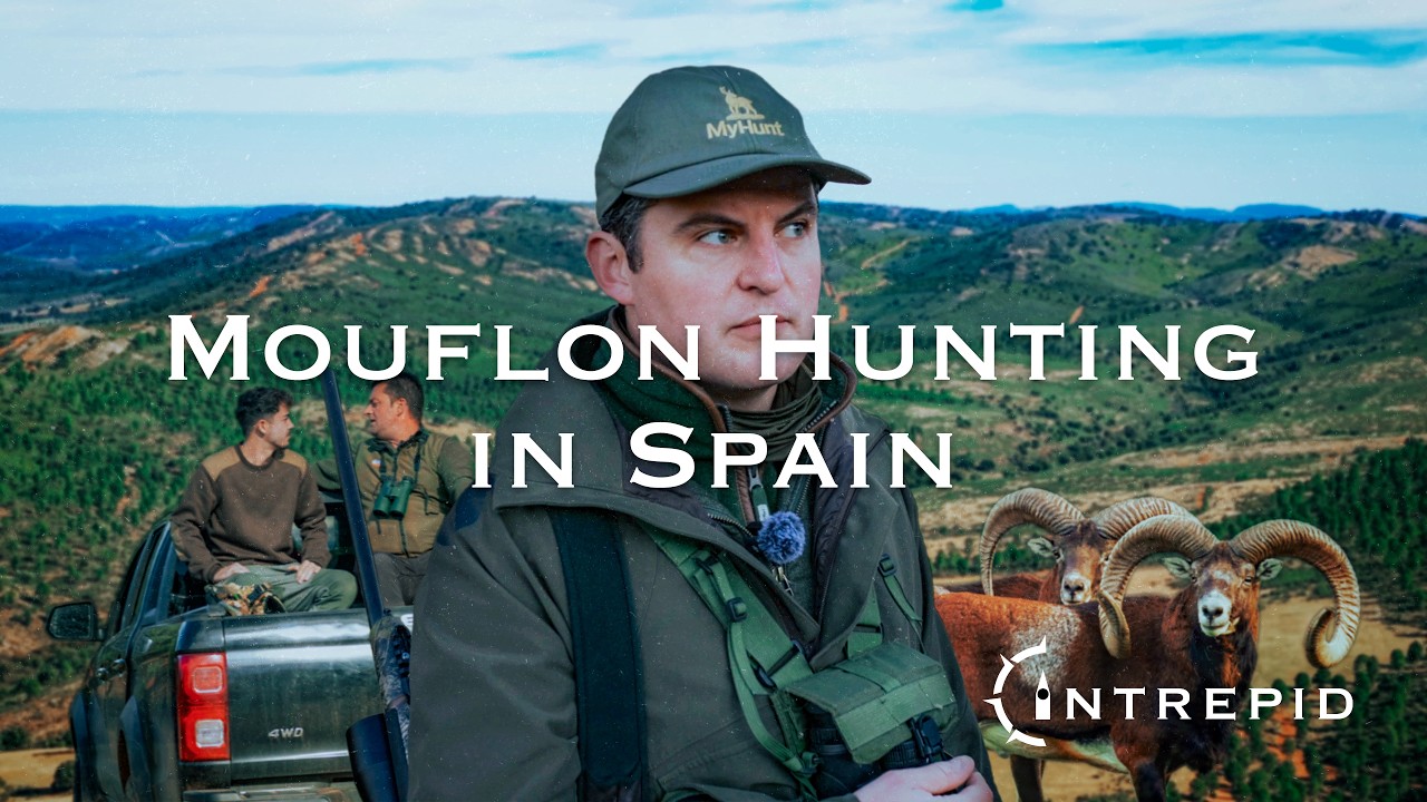 The Intrepid: Mufflonjagd in Spanien