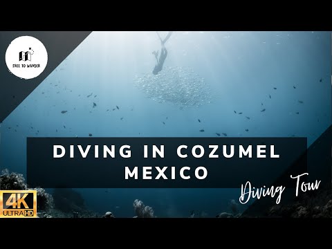 [4K] Diving and Snorkeling in Cozumel with Underwater Ambient Music | Mexico