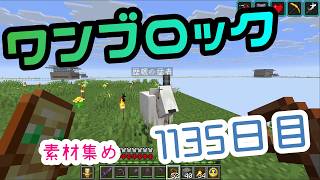 【１１３５日目】ワンブロックでハードコアな世界を生き残る