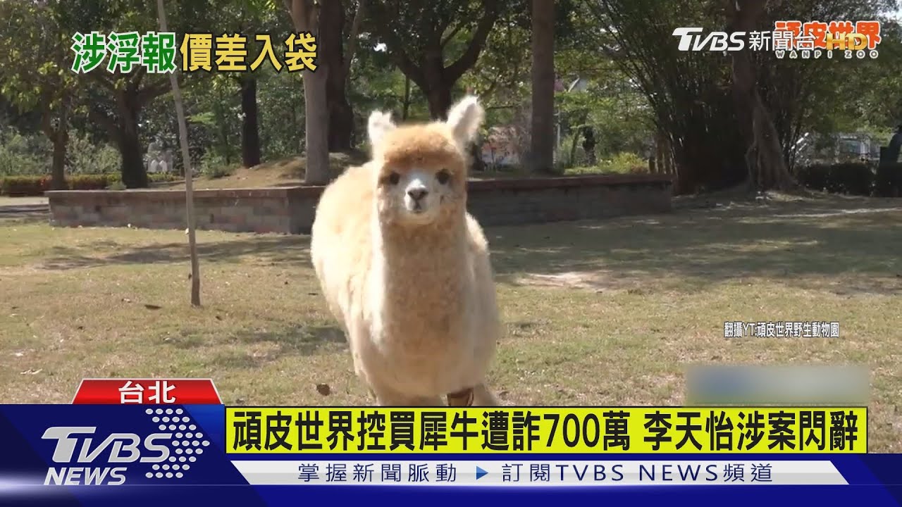 頑皮世界控買犀牛遭詐700萬　李天怡涉案閃辭