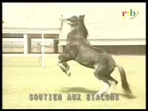 Etalons : Adama Dramé