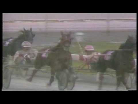 1992 Adios Pace - Direct Flight - The Meadows