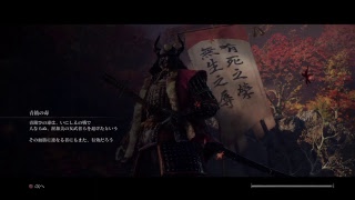 【SEKIRO】少しやる