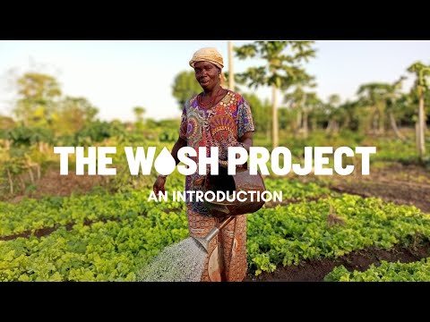 An Introduction to The Wash Project | 2022