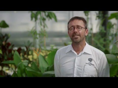 Behind The Scenes of The Calyx