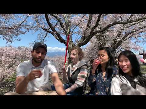 Cherry and Peach Blossoms Viewing