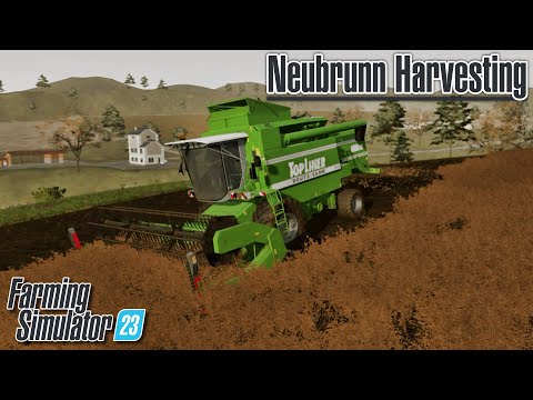 Canola Harvesting in Farming Simulator 23!