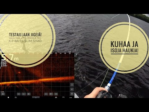Ruokakuhaa | Isoja haukia | Testaillaan jigejä | Orka Small Fish Baddle Tail | K.P Baits Slim Shad