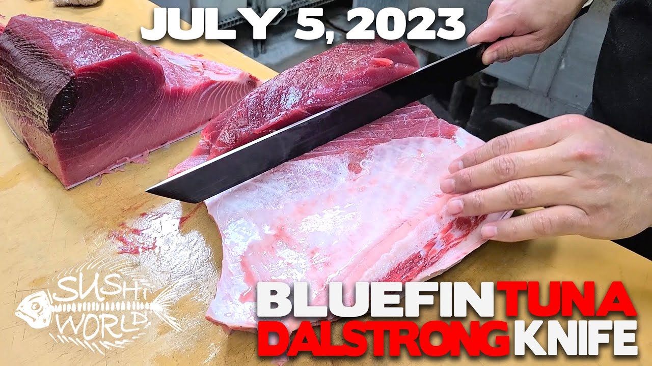 Dalstrong 17