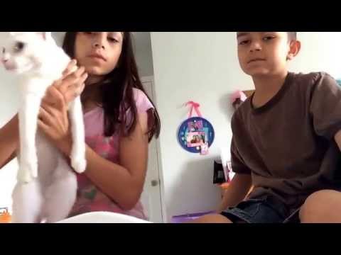 Say hello to scarlett