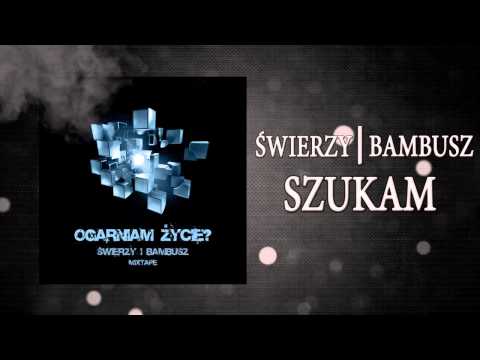 2. Świerzy/Bambusz - Szukam