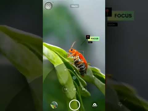 NATURE PHOTOGRAPHY TIPS AND TRICKS FOR MOBILE |Amazing Nature Macro Photography with Mobil..