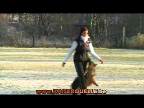 Ioelyvonmuikenshof BH.avi