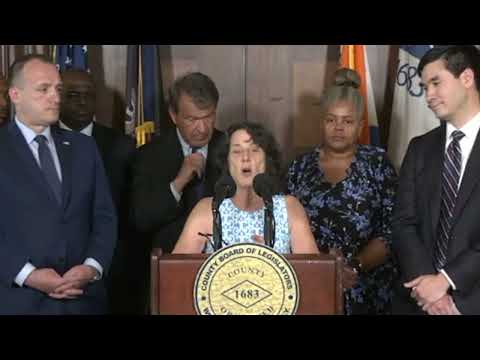 Westchester Domestic Violence