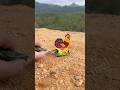 Stupid hen firework #shorts #cracker #diy #firework #trick #lifehack #experiment