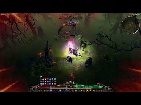 Pierce ranged DW Paladin vs Ravager [1.2 test] - 1:01