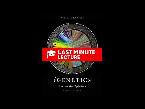 Genetic Mapping in Eukaryotes | Chapter 14 – iGenetics: A Molecular Approach (3rd)