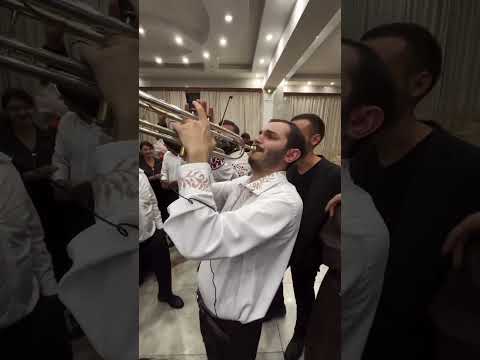 Colaj Vasile Tinei❤️