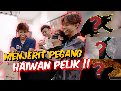 RAHIM , AMIR & AIEMAN MENJERIT PEGANG HAIWAN PELIK !! - SPECIES JARANG NAMPAK !?