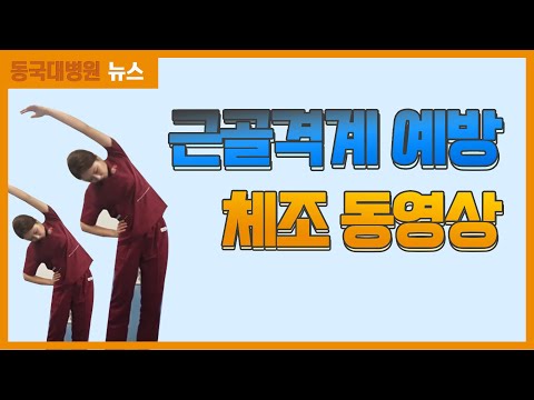 근골격계 예방 체조 동영상