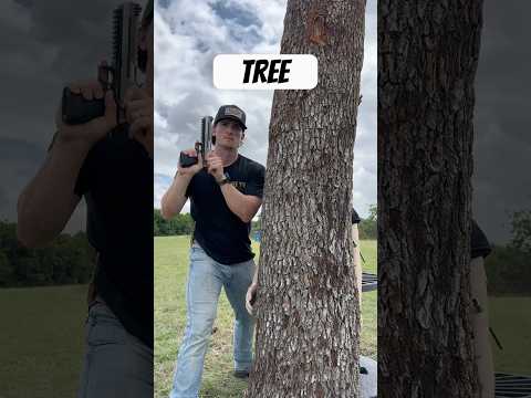 Tree vs 50 Cal Sniper Rifle