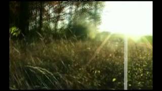 Lifehouse  You can shake the mountains   español ingles