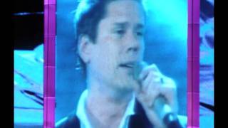 MY LOVE AND DEVOTION TO DAVID.wmv