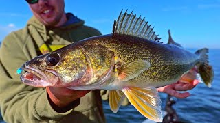 The BEST Walleye Blueprint (Catch fish when others can't....)