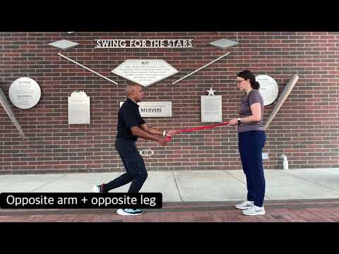 SL Row in Skater Squat