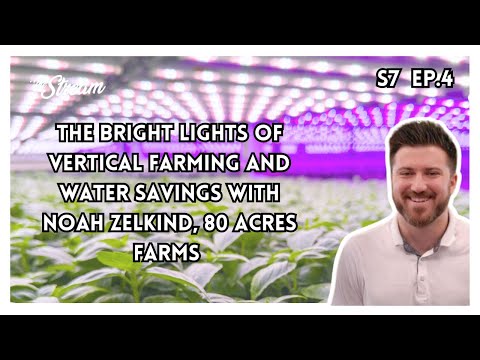 The bright lights of vertical farming and water saving with Noah ...